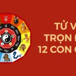 tử vi trọn đời 12 con giáp