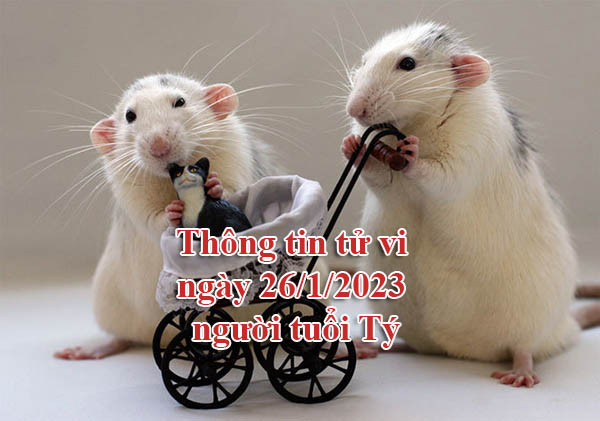 Thông tin tử vi ngày 26/1/2023 người tuổi Tý Thông tin tử vi ngày 26/1/2023 người tuổi Tý