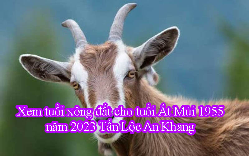 Xem tuổi xông đất cho tuổi Ất MùᎥ 1955 năm 2023 Tấn Lộc An Khang Xem tuổi xông đất cho tuổi Ất MùᎥ 1955 năm 2023 Tấn Lộc An Khang